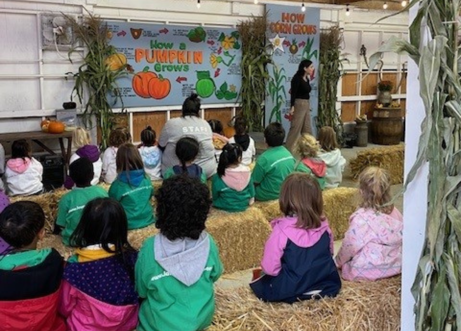 Preschool at the Pumpkin Patch!
